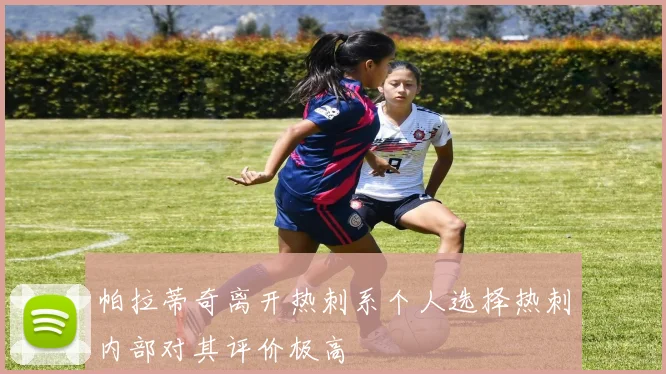 帕拉蒂奇离开热刺系个人选择热刺内部对其评价极高